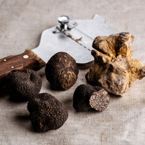home-ingredienti-umami-per-la-ristorazione-mainardi-food